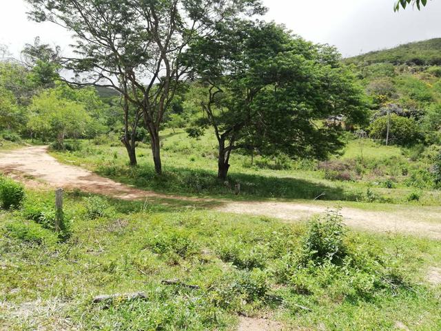 Oportunidade Fazenda de 175 hec por 430 mil - Foto 7