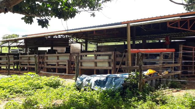Fazenda Linda - Foto 12