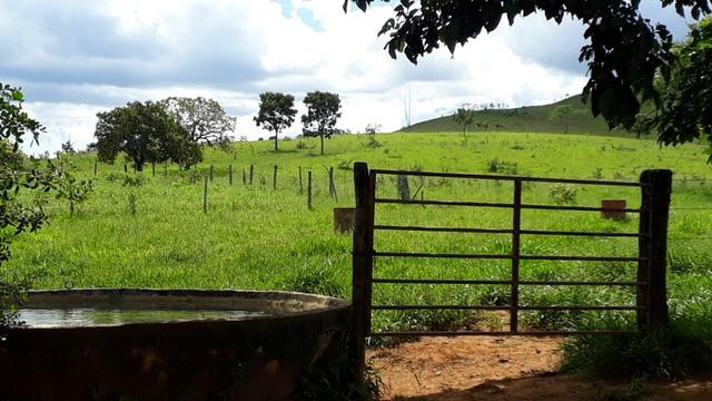Fazenda Linda - Foto 4