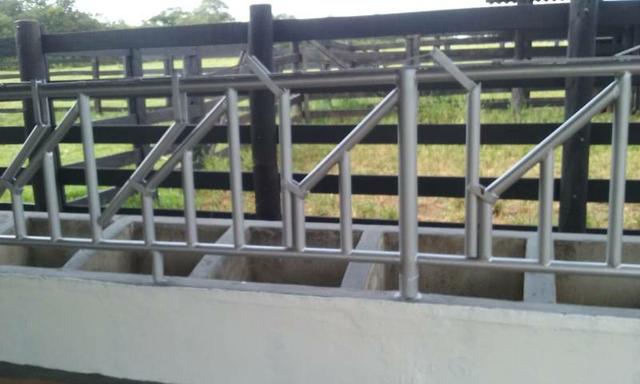 Fazenda - Foto 17