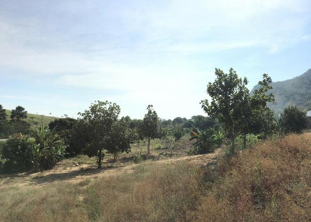 Terreno / Lote em Serra - Foto 8