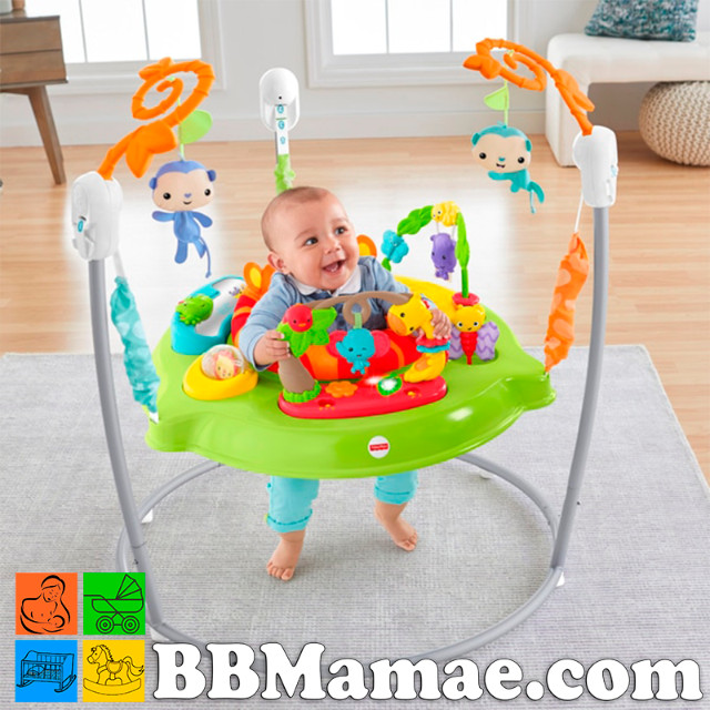 jumperoo fisher price olx