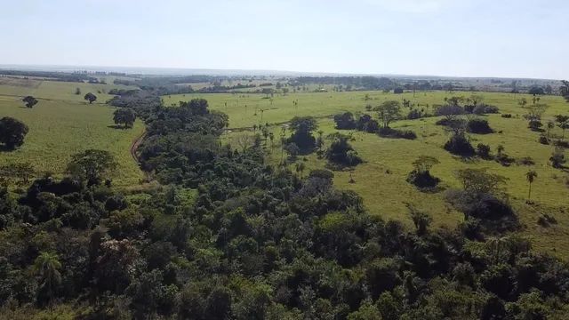 50 hectares a 25 Km de Campo Grande - Foto 12