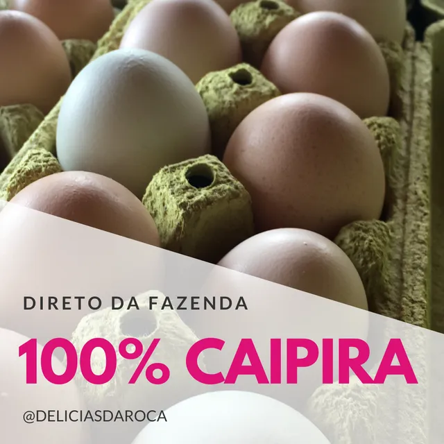 Caixa de Ovos Caipira Caipiregg - à granel (360 ovos)