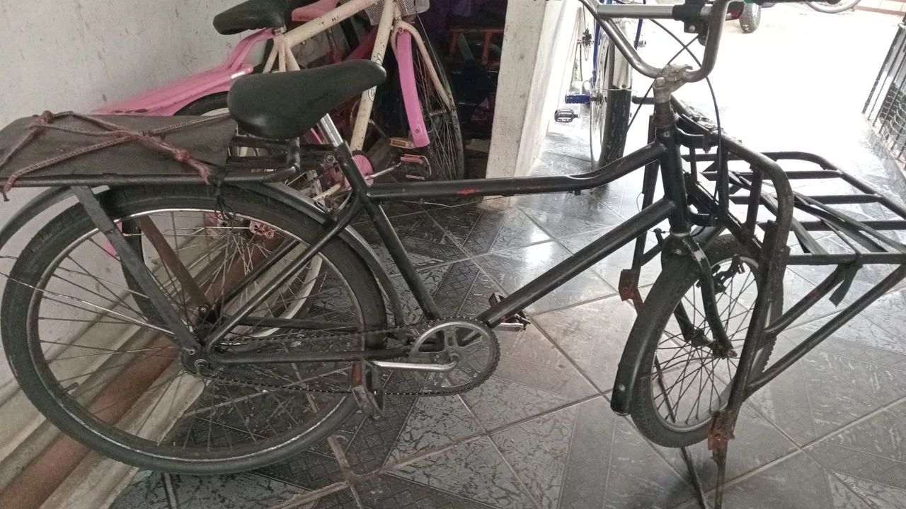 Bicicleta cargueira