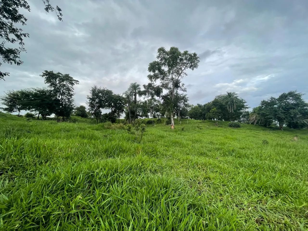 Fazenda (região de Goiás velho) - Foto 2