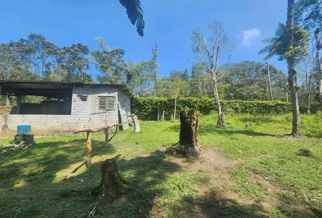 1.2 hectares 217 mil reais rico em água 
