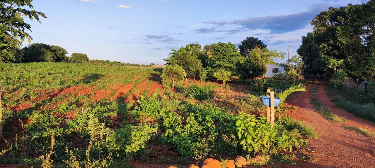 foto - Londrina - Heimtal