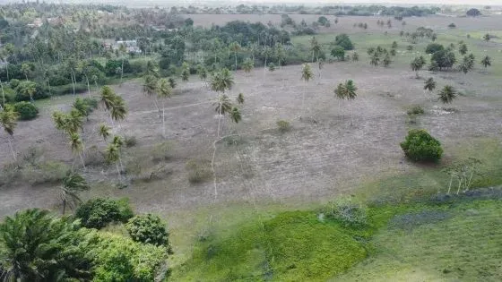 Excelente fazenda com 40 hectares em Monte Alegre