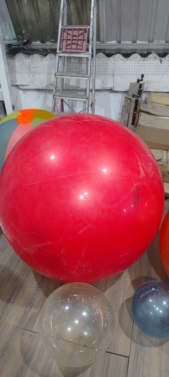 Bola fisioterapia Gymnic Italiana 120cm