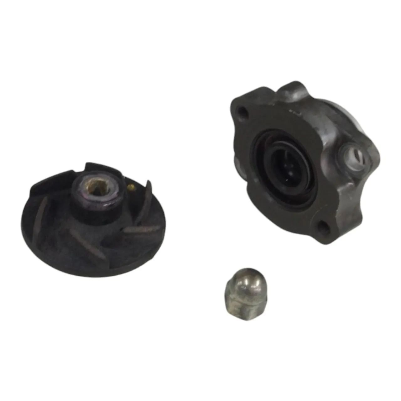 Bomba Água Triumph Scrambler 400x 2023/2024 - Foto 6