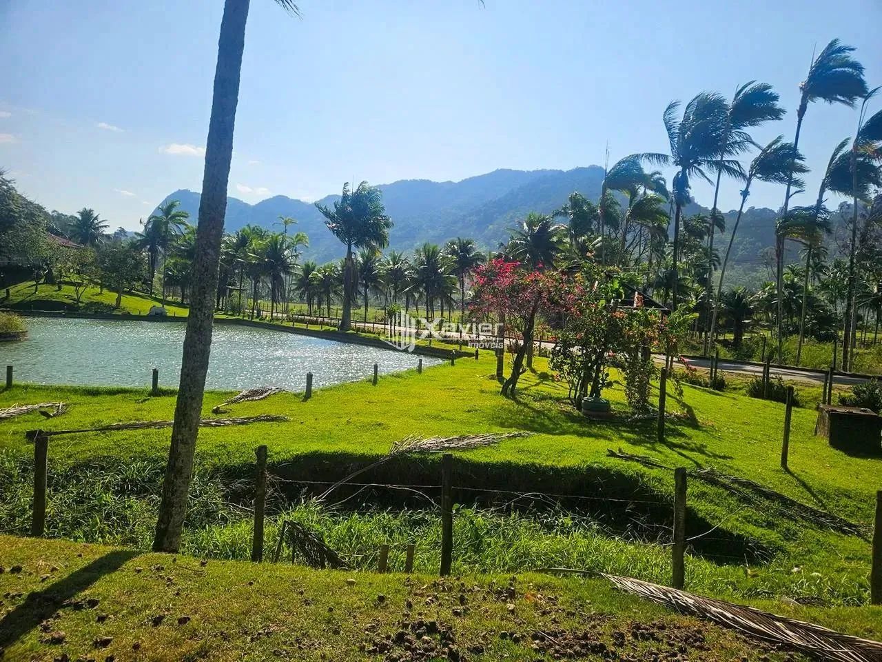 Chácara à venda com 8.000 m² em Alfredo Chaves-ES - Foto 2