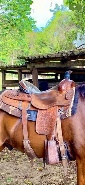 Sela de laço  - Foto 4