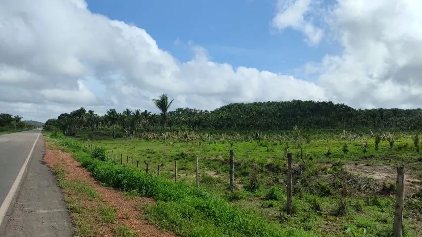 Fazenda em Vargem Grande-MA - Foto 2