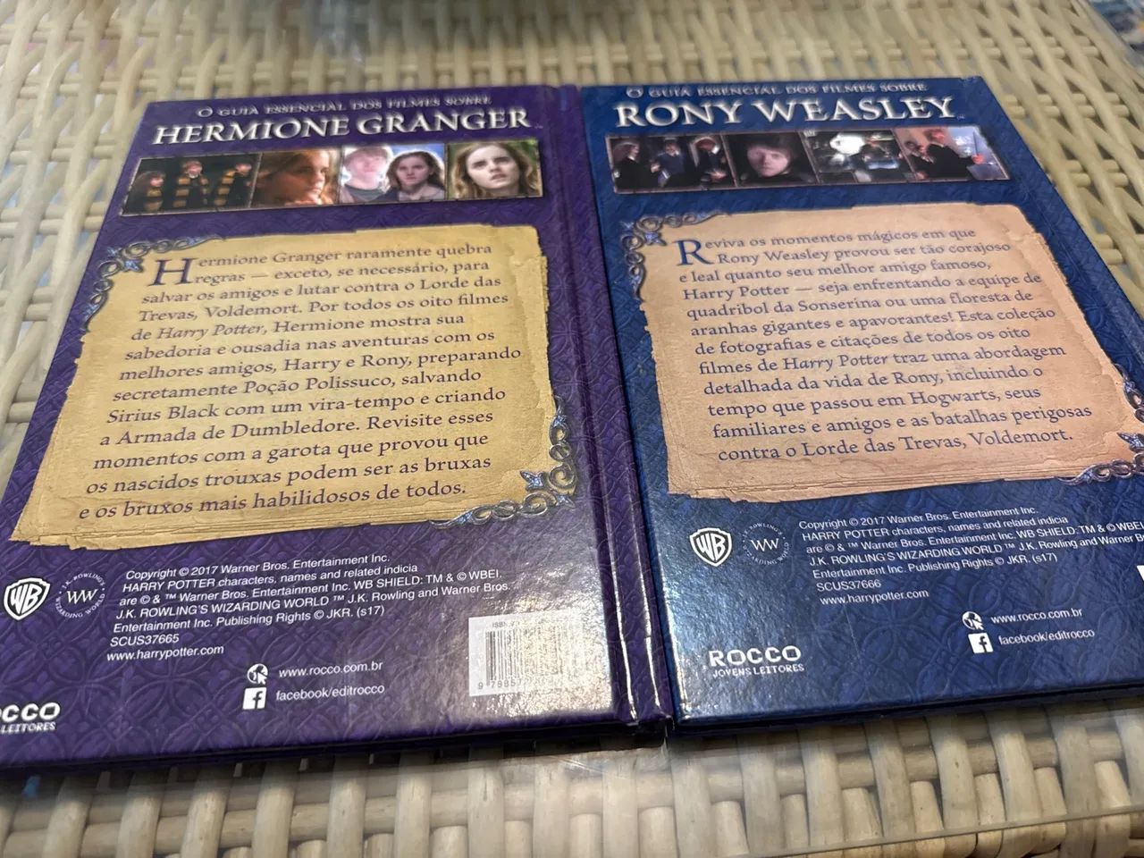 Livros Harry Potter - Hermione Granger e Rony Weasley - Foto 4