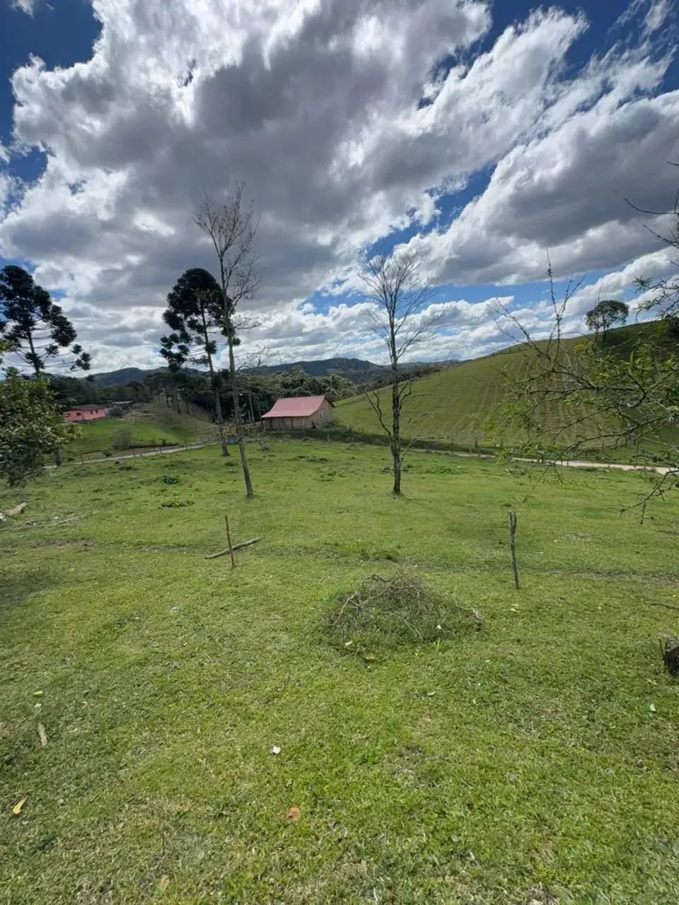Sítio à Venda em Rancho Queimado  SC  Com riacho dentro da propriedade! - Foto 12