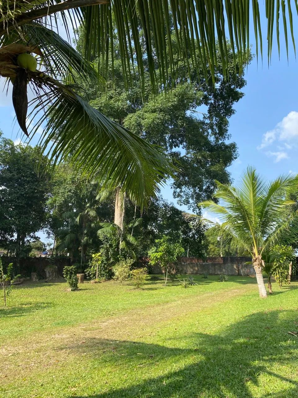 ALUGUEL SÍTIO THE THE - Foto 6