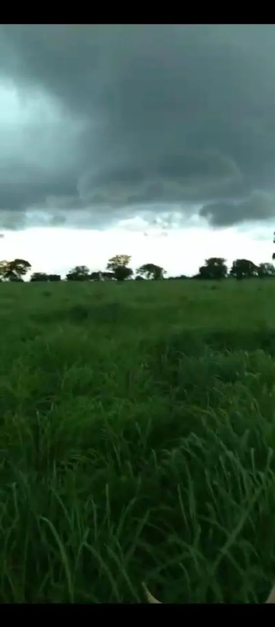 Fazenda Goiás São João da Aliança  - Foto 4