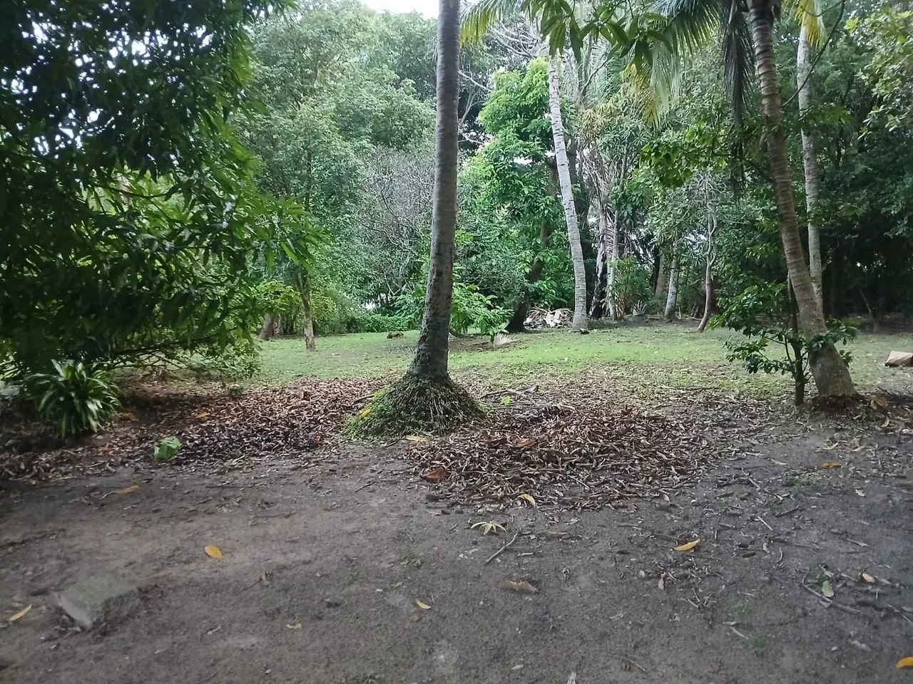 Foto - Paço do Lumiar - 