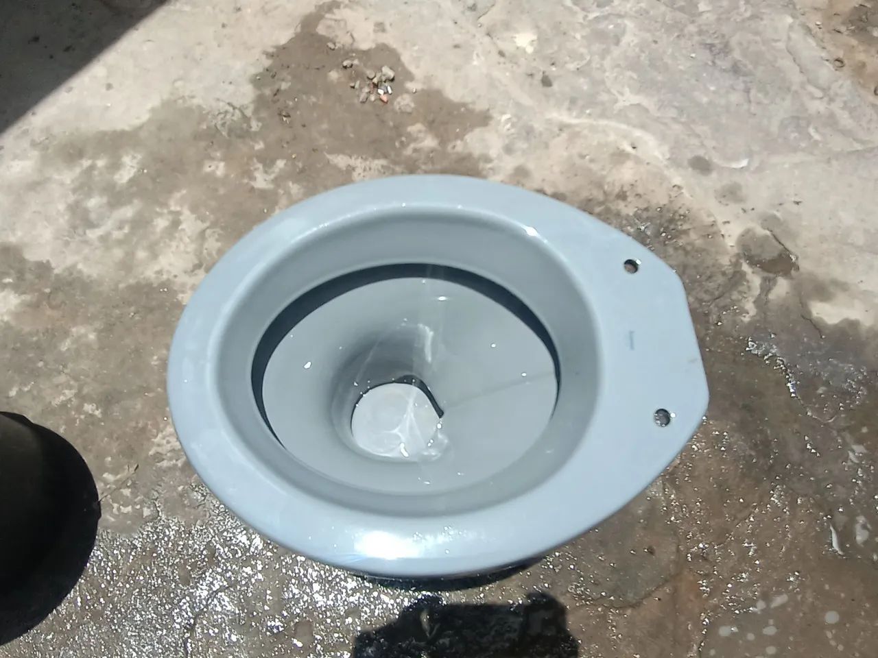 Toilet Bowl