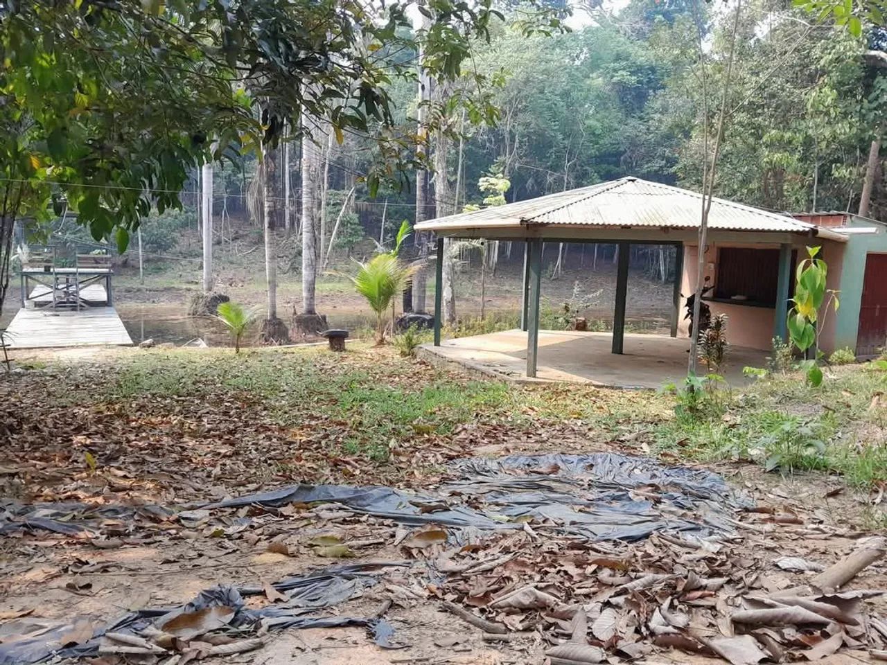Sítio na Principal da estrada do açutuba ( Alugamos Também)  - Foto 4
