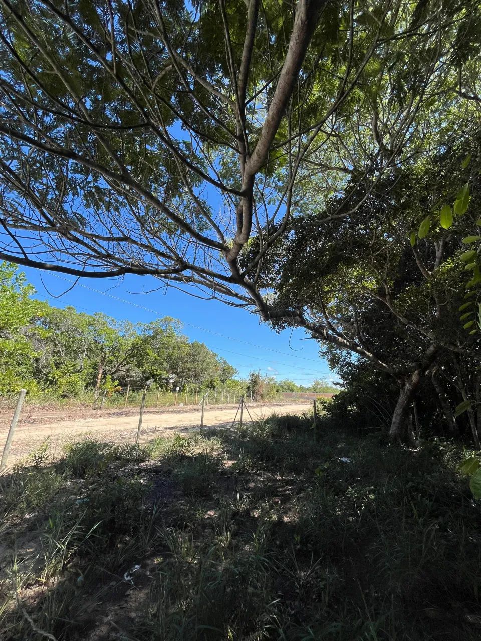 Terreno arborizado / 5 minutos da praia / villas 2 - Foto 3