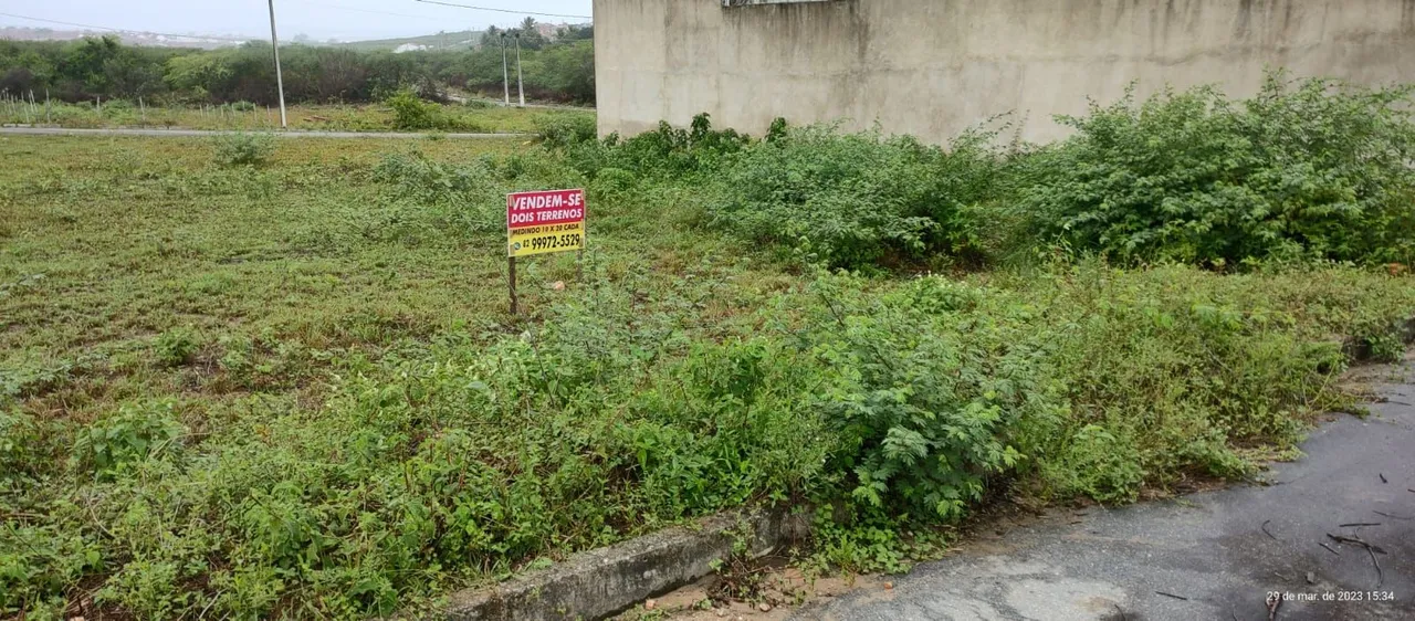 Terreno ESCRITURADO no Luar de Arapiraca (Colorado)