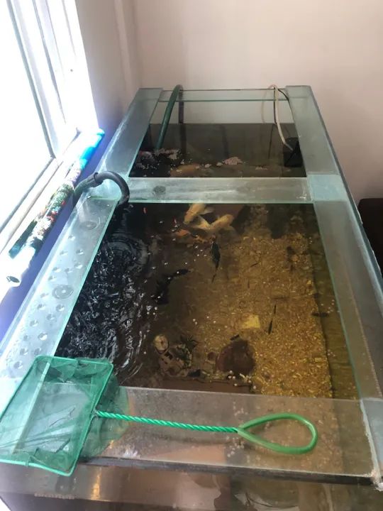 Aquário de 576 litros completo  - Foto 6