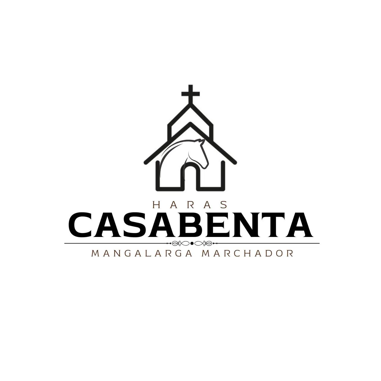 Mangalarga Marchador (Égua) - 30x R$ 400,00 - ***PARCELADO NO BOLETO*** - Foto 6