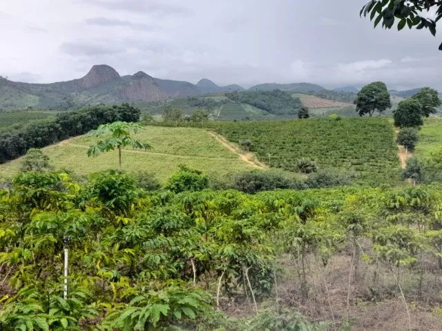 Terreno em São Gabriel