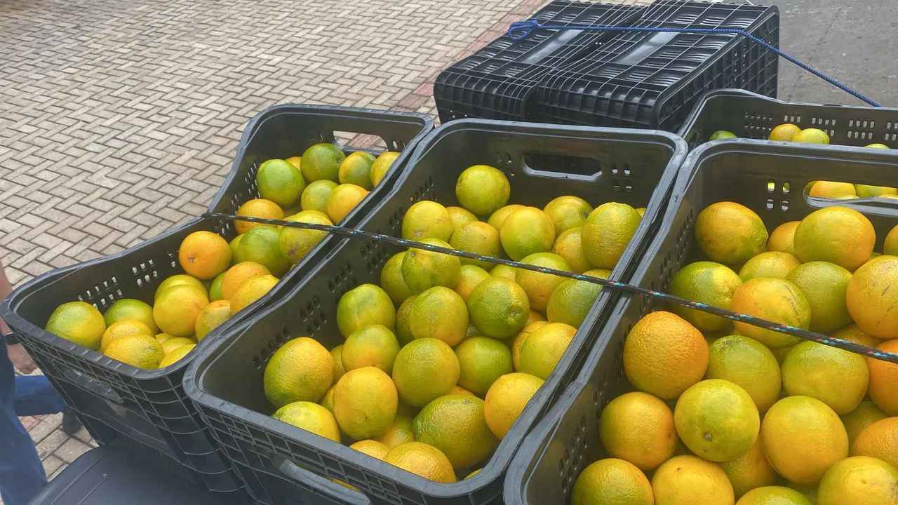 Laranja 