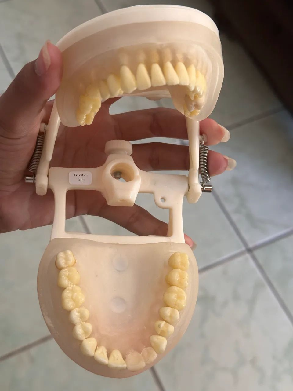 Manequim odontologico - Foto 2