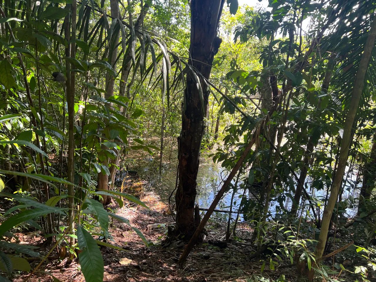 Venda  - Foto 5