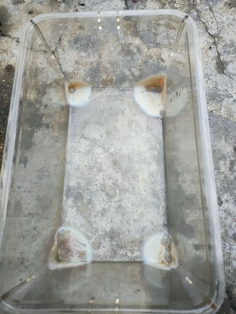 Caixa de biotério para criação de camundongos 65580493592321121
