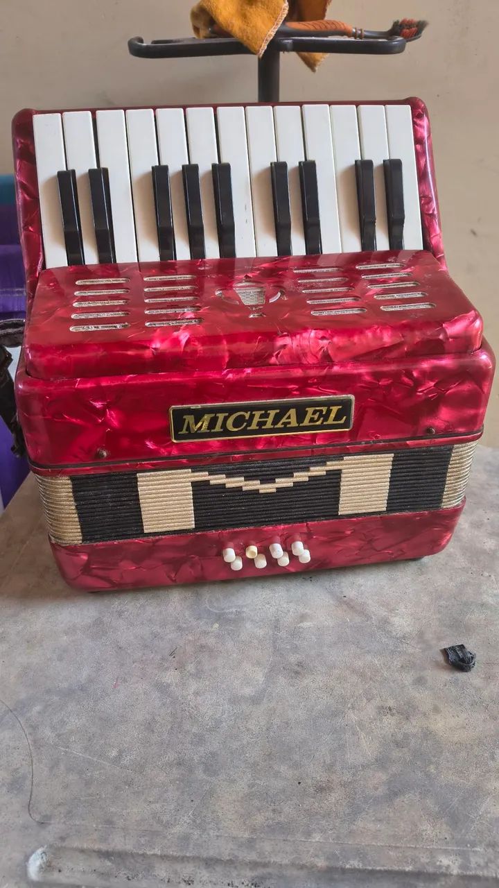 Acordeon Michael 8 baixos