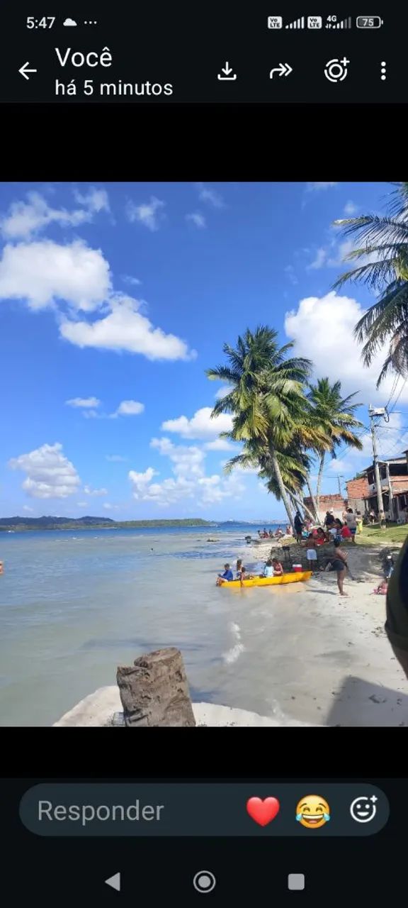 Terro na ilha de maré  - Foto 3