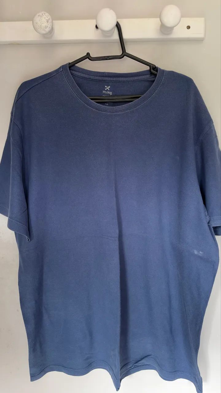Camisa da Hering (Pague 1, leve 2)