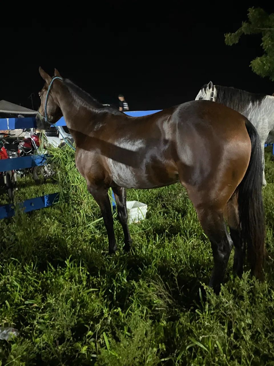 Porda de direita - Foto 5