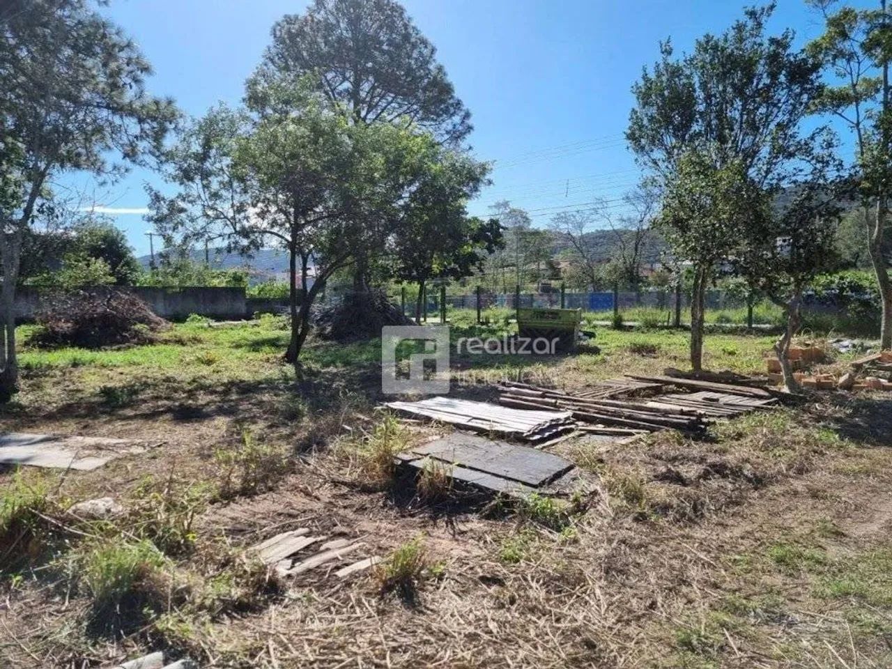 Terreno Residencial à venda, Campeche, Florianópolis - TE0031. - Foto 4