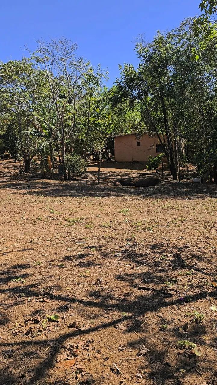 Lote 3600m² TO 010 Saida para Aparecida. Km 05 Pertinho. - Foto 4