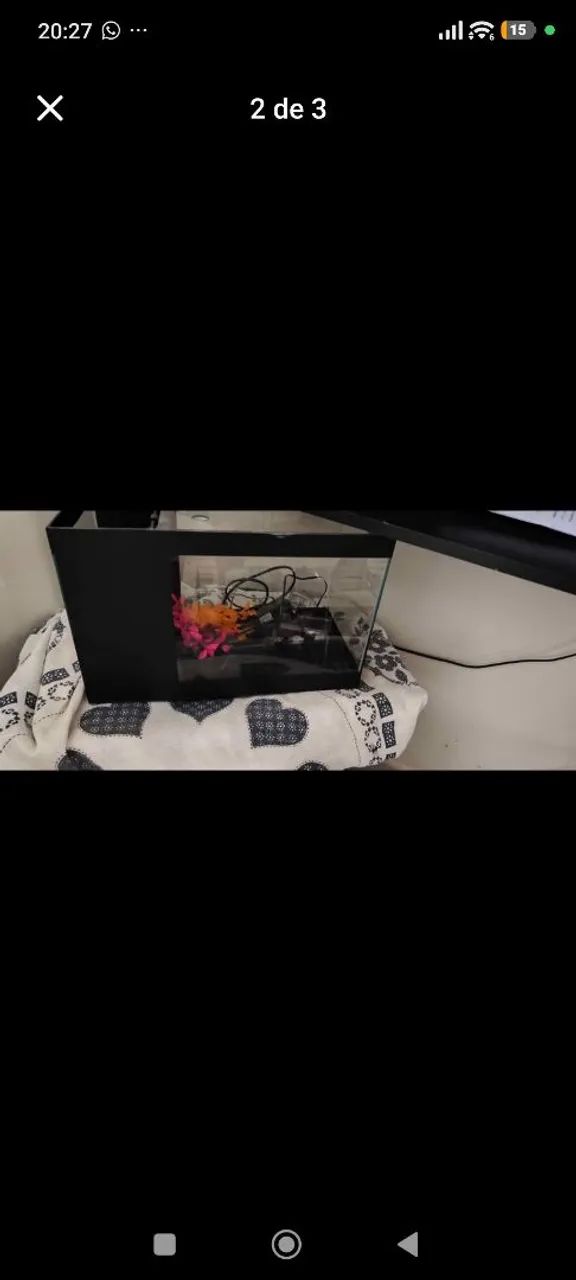 Kit primeiro aquario 