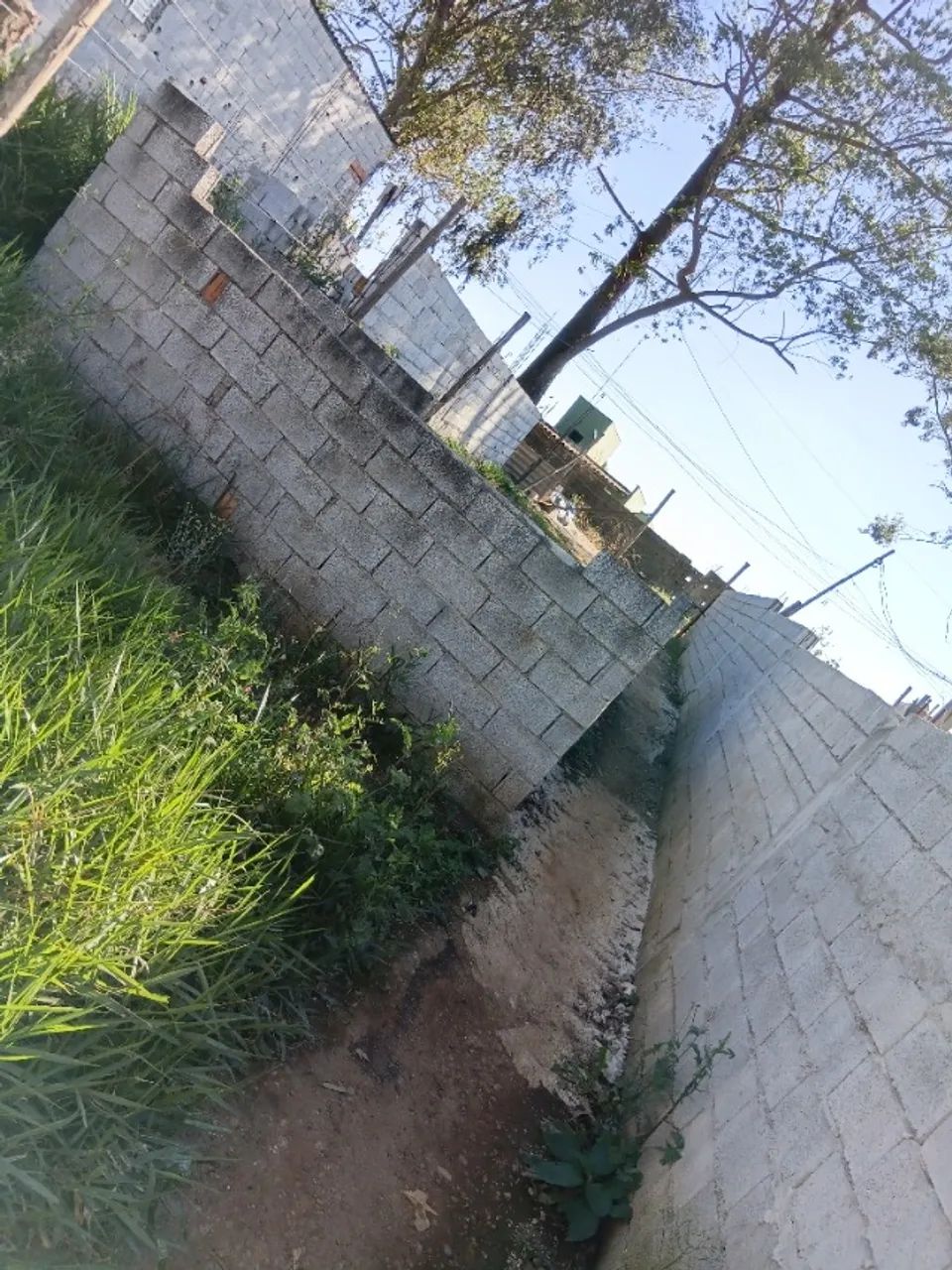 Terreno 