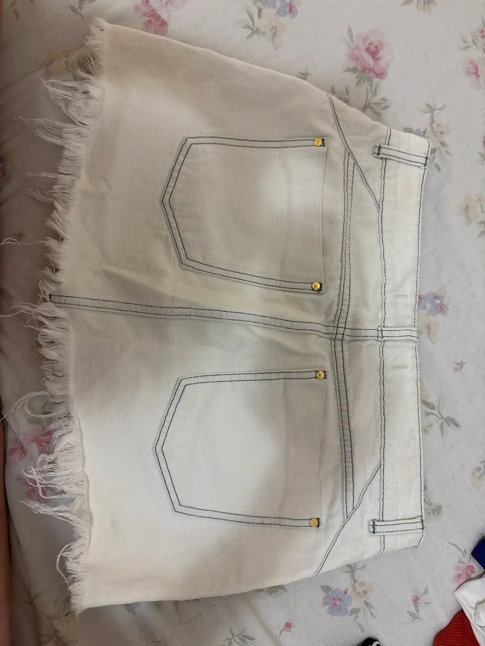 saia - Foto 2