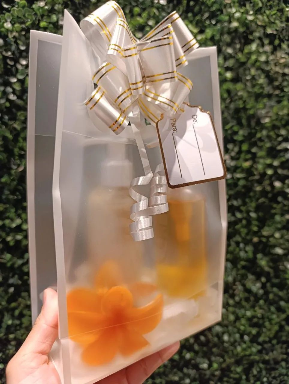 Kit Presente Cuidado em Flor 