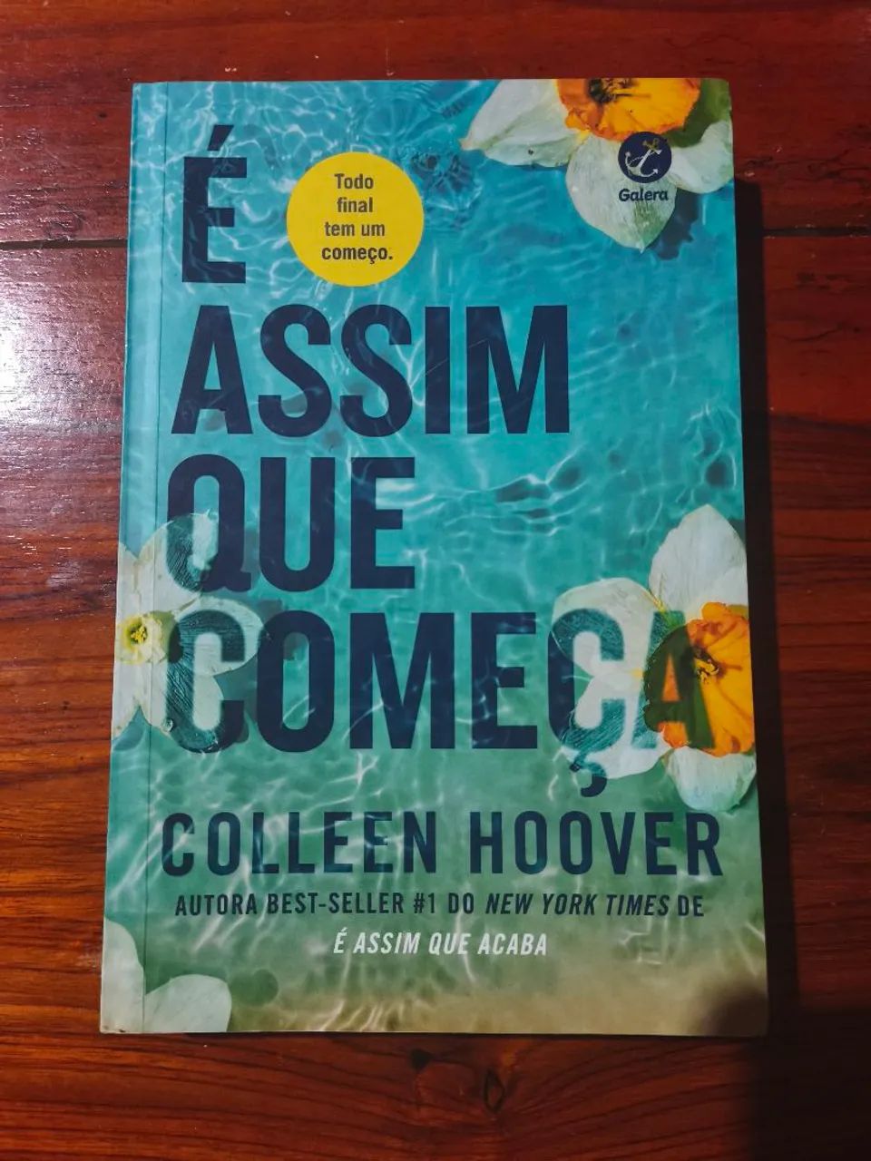 É Assim Que Começa de Colleen Hoover  