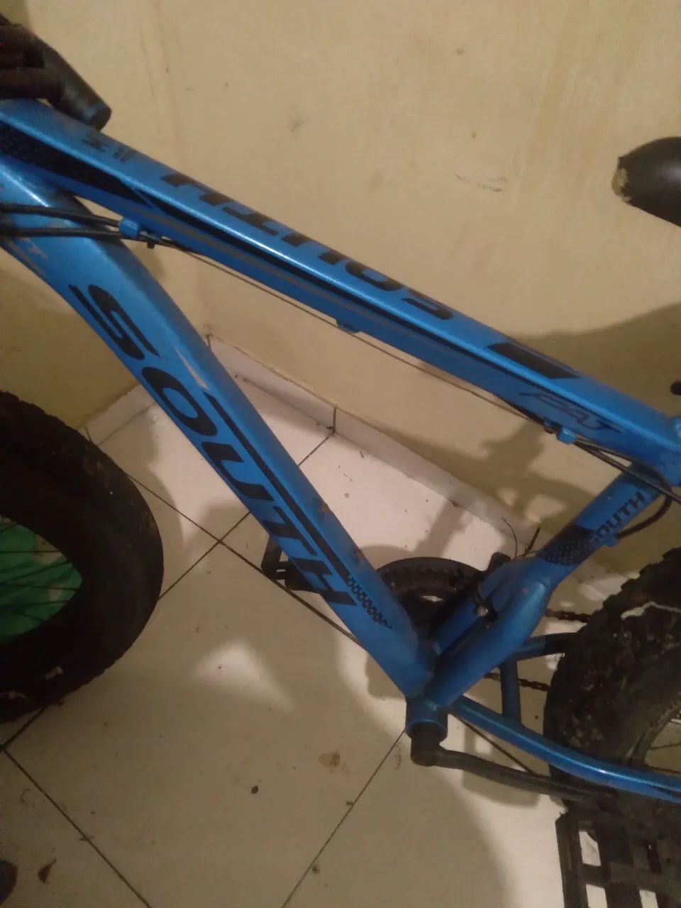 Fat bike