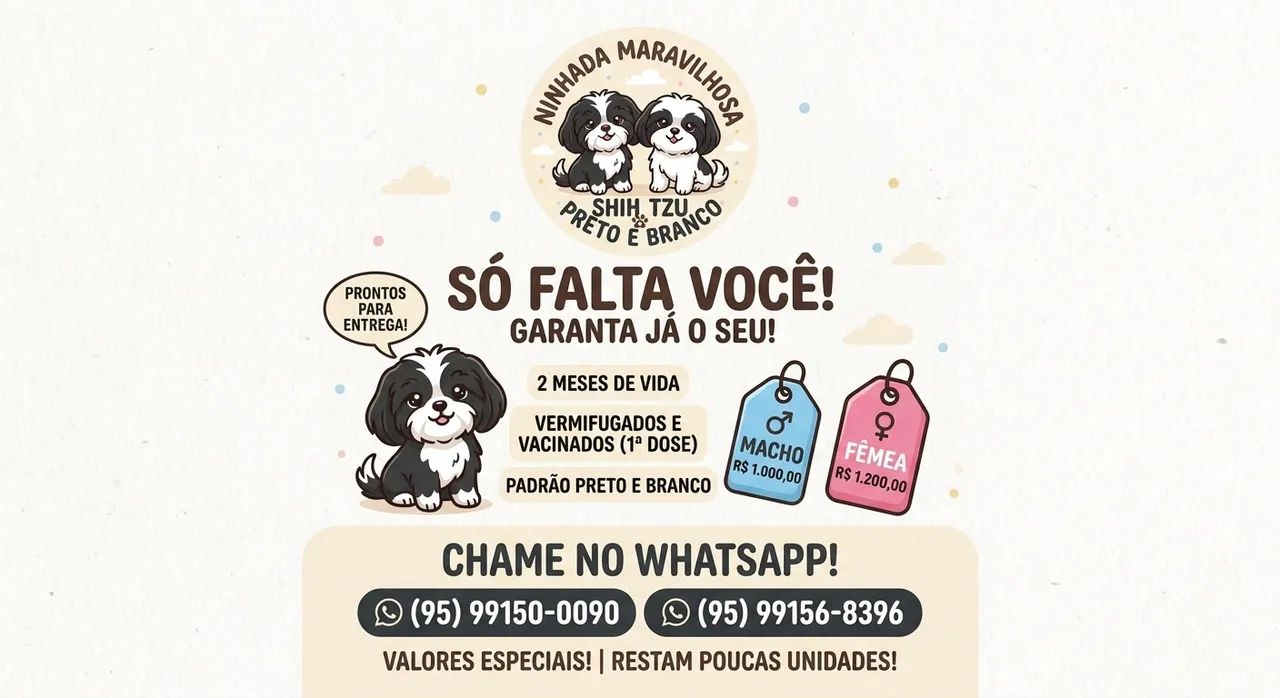Filhotes de Shih Tzu - Foto 4