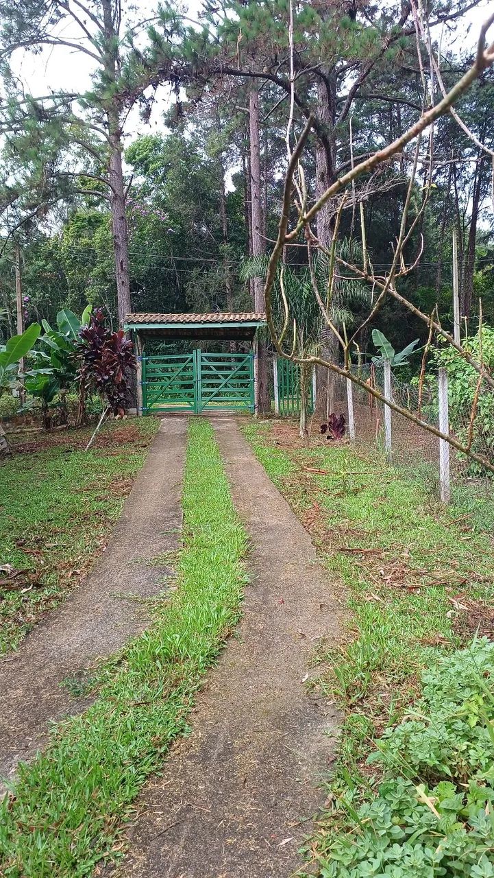 SÍTIO A VENDA / OU PERMUTA - Foto 4