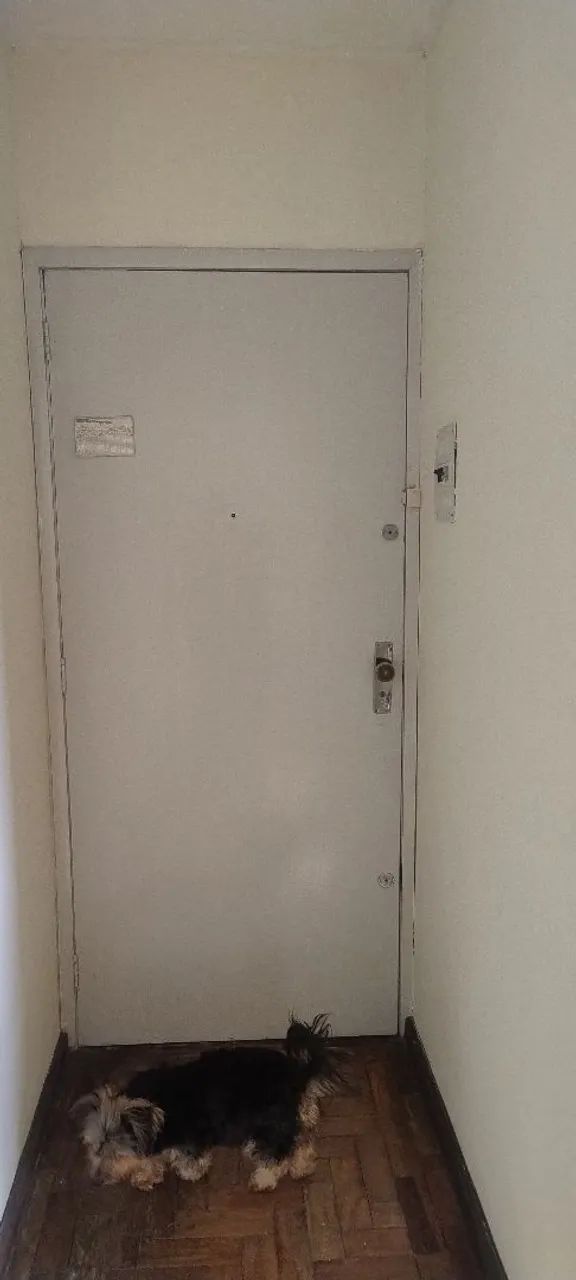 Foto - Pelotas - Centro