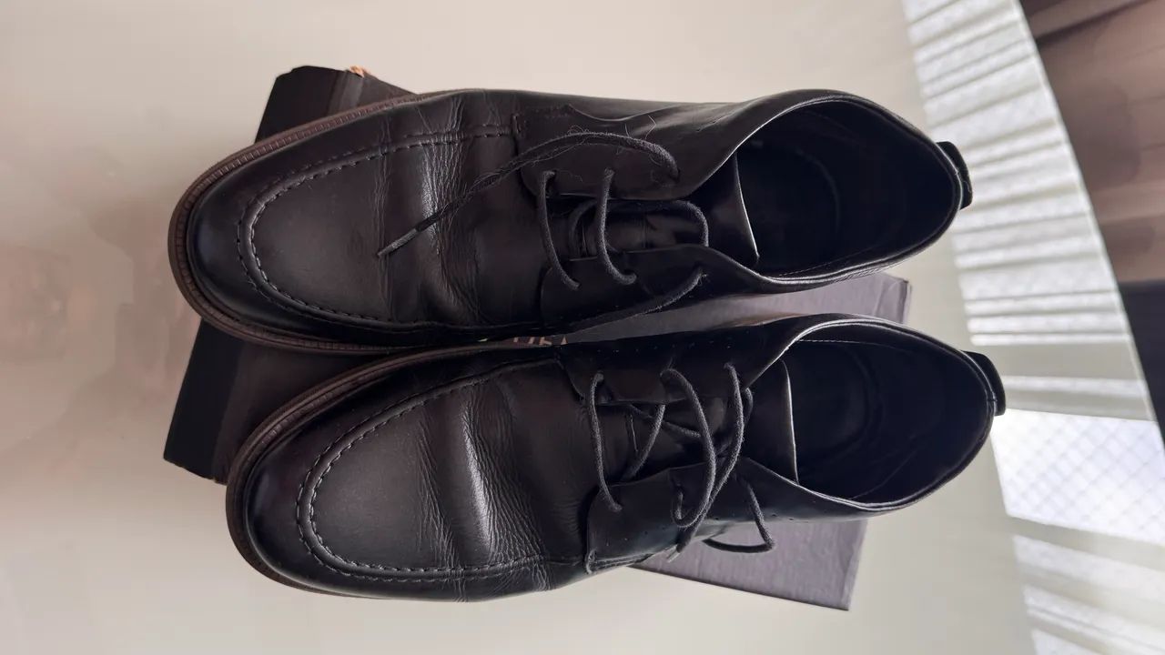 Bota democrata 